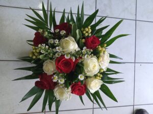 IMG_20211016_173735 IMG_20211016_173735